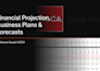 prepare financial projections, business plan and forecasts
